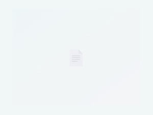 Business Card Layout A